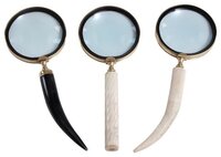 Horn Magnifying Glasses Progression By Design