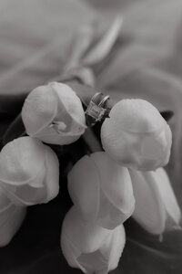 Microwedding package