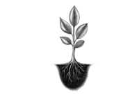 Icon symbol for Ascension stage of inner timing.