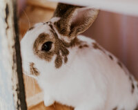 About Me_DSC02348
