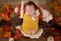 newborn baby boy with fall set up and teddy bear