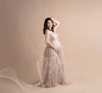 Beautiful Woman Pregnant Photoshoot