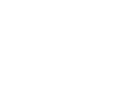 Decorative Olive Branch