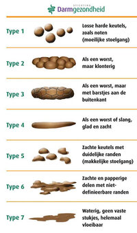 Stoelgang Bristol Chart
