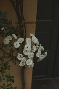pexels-sorrasfilms-13915489