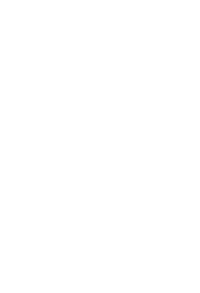 paperbird photography logo