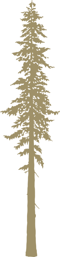 tree illustration