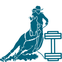 brfcoaching.com favicon