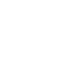 Designer's Institute Logo
