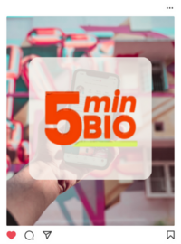 Collage of online courses for Instagram strategy and content creation by Jenna Harding