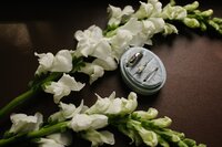Wedding rings and flowers