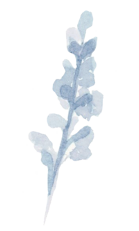 Watercolor blue floral by Stephanie Anne Illustration a Montreal, Quebec Live Sketch Artist