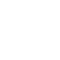 Health flower icon symbolizing health and wellness.