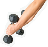 Arms holding weights 
