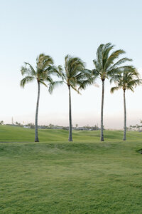 EMILY VANDEHEY PHOTOGRAPHY -- Kauai, Hawaii 2024-3