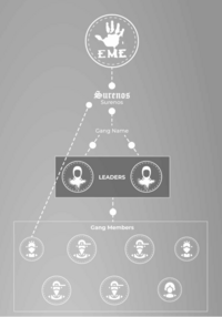 Chart in gang book which depicts gang leaders and members