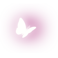 Growing white butterfly