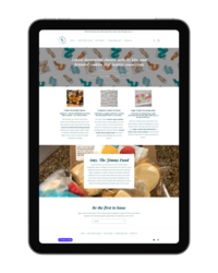 web design services, custom websites & SEO