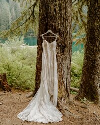 wedding dress hanging in trees
