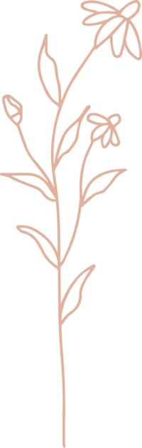 Pink illustration of flower