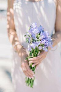 pexels-alina-skazka-15938999