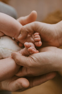 Photo of newborn feet being held by their parents hands during their newborn photoshoot in Bloomington Indiana.