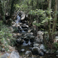 A boat sailing in the distance during sunset.