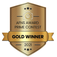 Gold award  from the 2021 AFNS Prime Awards    photography competition badge