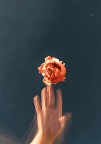 pexels-evie-shaffer-2512388