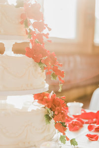 harrisburg-boat-wedding-cake-sunlight