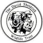 dswt logo