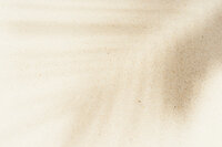 Texture de sable blanc avec l'ombre d'une feuille.