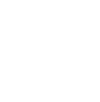 Bondi Marketing starfish icon white