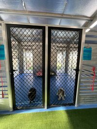 dog-kennel-facility-geraldton-005