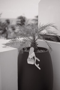 Detail wedding photo in Cancun Mexico captured by Kiarha Lou Photography