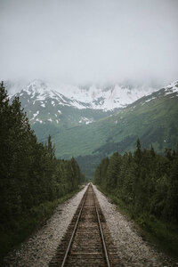 alaska railroad view with mountains and trees lining the tracks