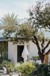 Arizona Biltmore, A Waldorf Astoria Resort Wedding in Phoenix, Arizona