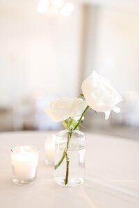 Engagement Photos of Minneapolis Couple