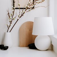 Modern desk flatlay with potted plant