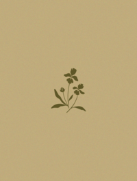 Floralyn Portfolio-35