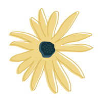FTCLogo_BlackEyedSusan1