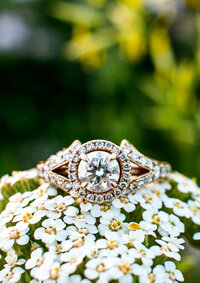 Engagement_Indiana_Photographer_Wedding_NewCastle-3