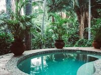 Tailwind Jungle Lodge, nestled in the lush jungle north of San Pancho, offers boutique accommodations and multi-day retreats perfect for relaxation, nature immersion, and holistic renewal.