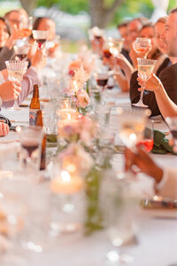 Great Fall Virginia Backyard Wedding in the Spring in DC