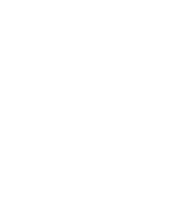 Butterflies-02