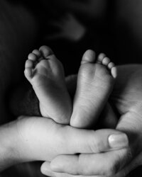 newborn baby feet held by mom and dad