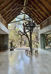 Striking black and white villa