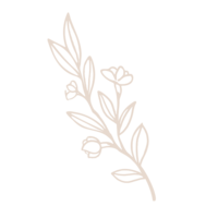 leaf illustration