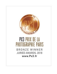 PX3-2018-Bronze