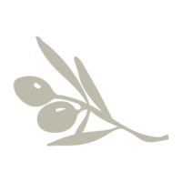 Olive leaf icon